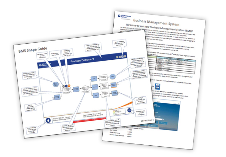 A print out os a BMS Shape Guide and business  management system document