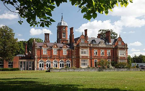 triaster timeline 24