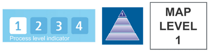 a pale blue box with 1,2,3,4 written in white and process level indicator below, a blue bow with a pyramid coloured in 1 and white bow with map level 1